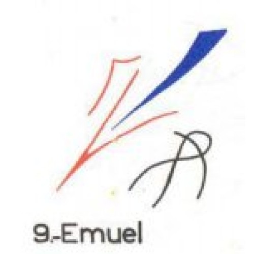  9: Emuel 