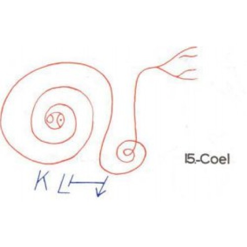  15: Coel 