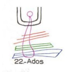 22: Ados 22: Ados