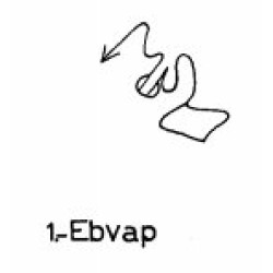  1: Ebvap 