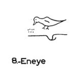  8: Eneye 