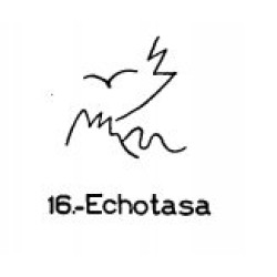  16: Echotasa