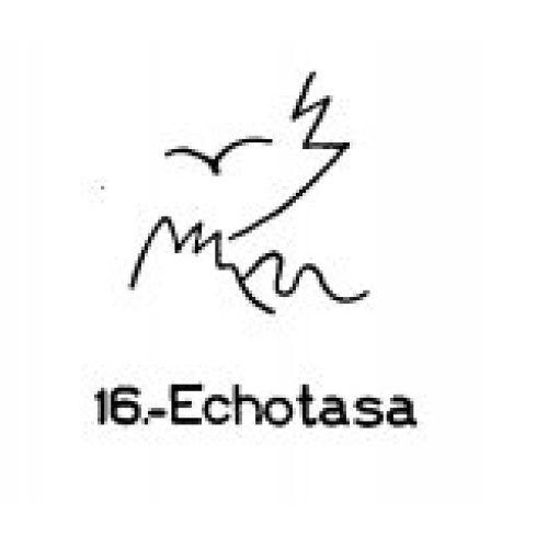  16: Echotasa