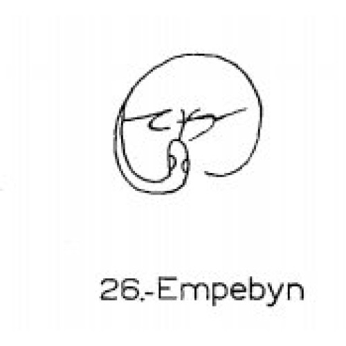  26: Empebyn 