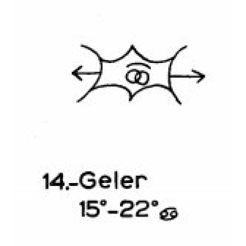 14: Geler 
