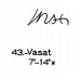 43: Vasat 
