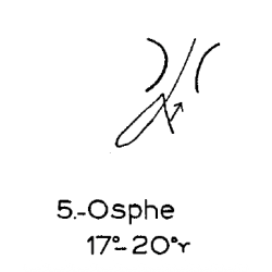 5) Osphe