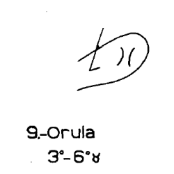 9) Orula