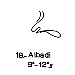 18) Albadi