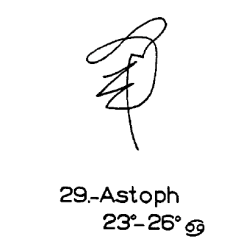 29) Astoph