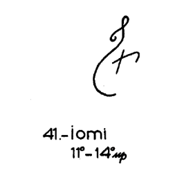 41)Iomi
