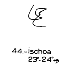 44) Ischoa