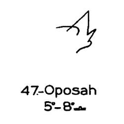47) Oposah