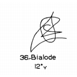  36: Bialode 