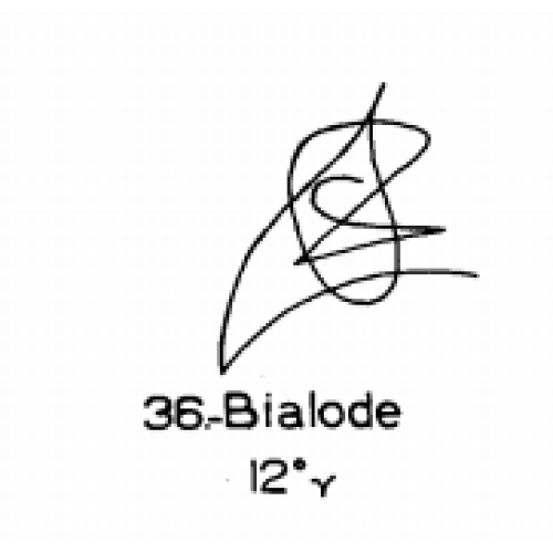  36: Bialode 