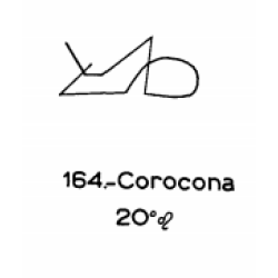  164: Corocona 