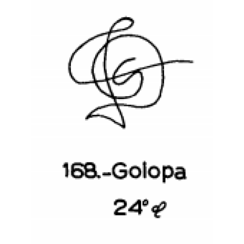  168: Golopa 