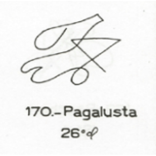  170: Pagalusta 