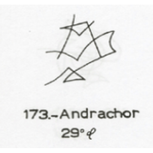  173: Andrachor 