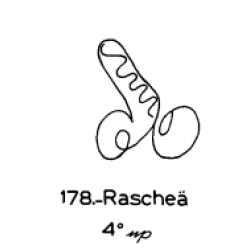  178:Raschea 