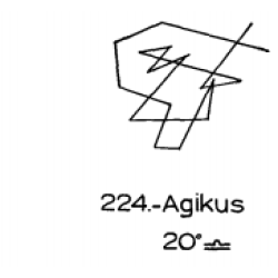  224: Agikus