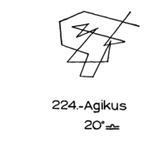  224: Agikus