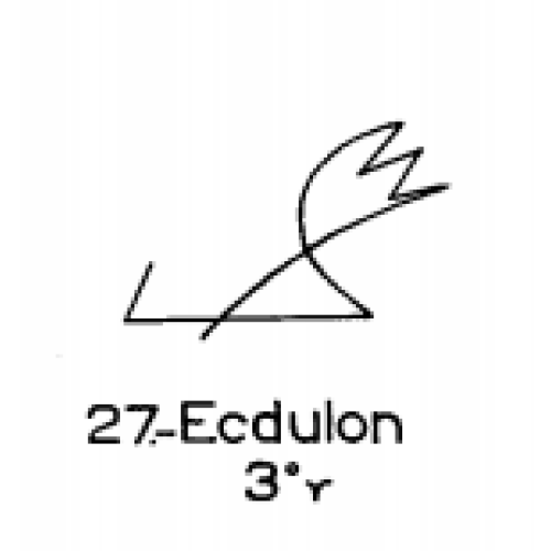  27: Ecdulon 