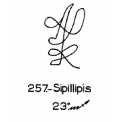  257: Sipillipis 