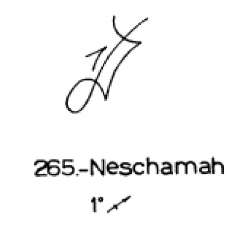  265: Neschamah 
