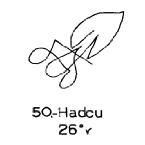 50: Hadcu 