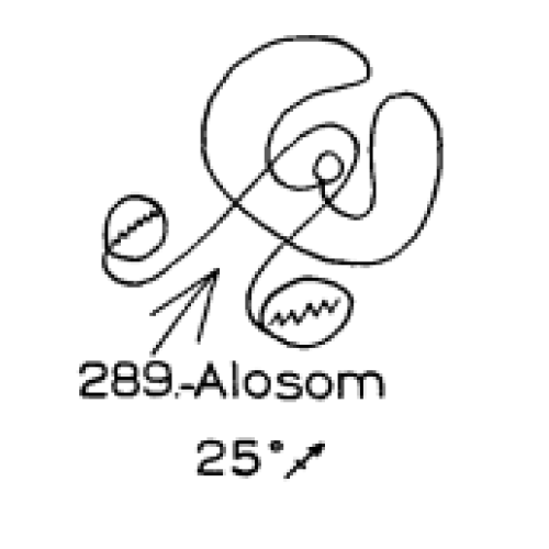  289: Alosom 