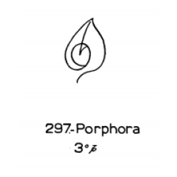  297: Porphora 
