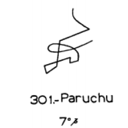  301: Paruchu 