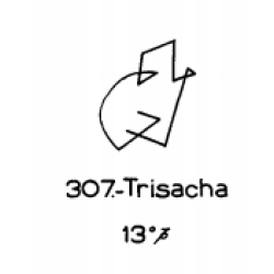  307: Trisacha 