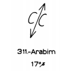  311: Arabim 