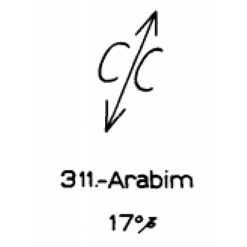  311: Arabim 