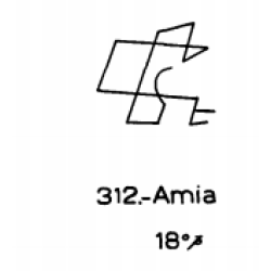  312: Amia 