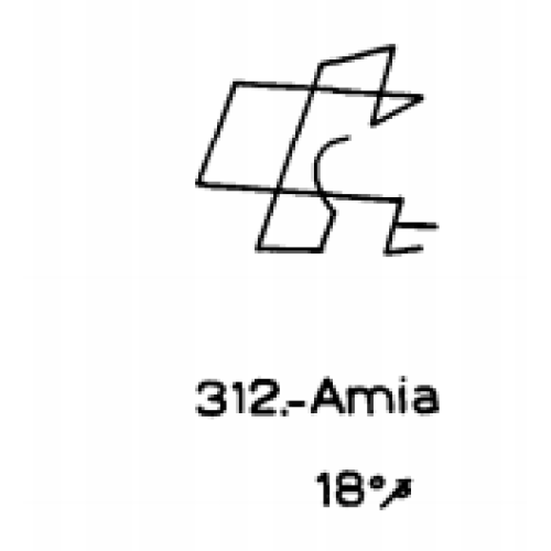  312: Amia 