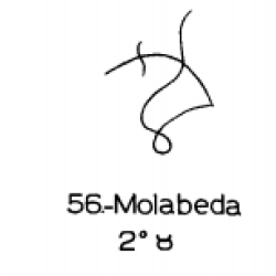  56: Molabeda 