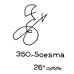  350: Soesma 
