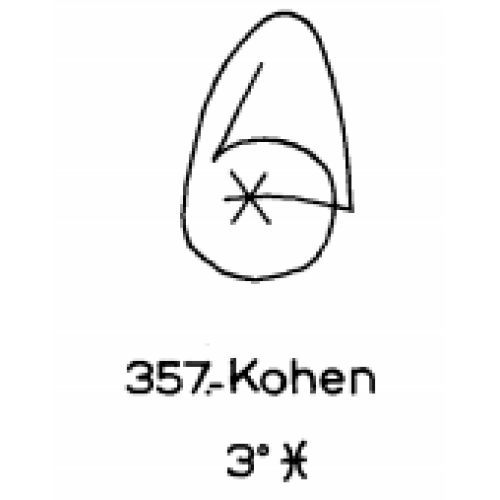  357: Kohen 