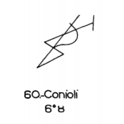  60: Conioli 