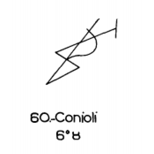  60: Conioli 