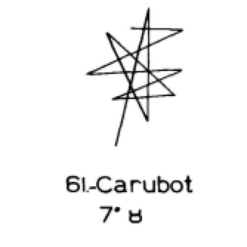  61: Carubot 