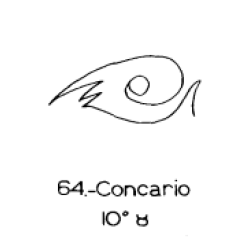  64: Concario 