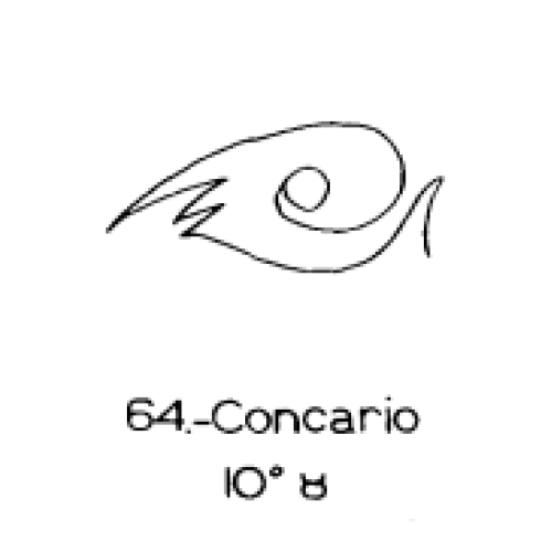  64: Concario 