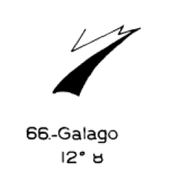  66: Galago 