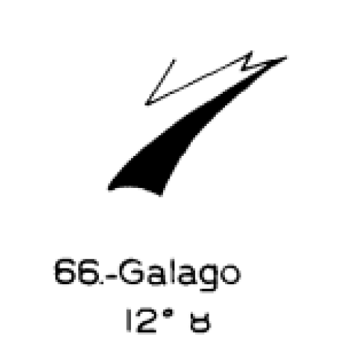  66: Galago 