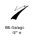  66: Galago 
