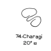  74: Charagi 